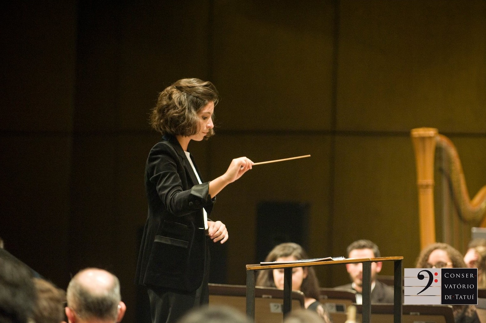 Credit: Paulo Rogério Ribeito/Conservatório de Tatuí